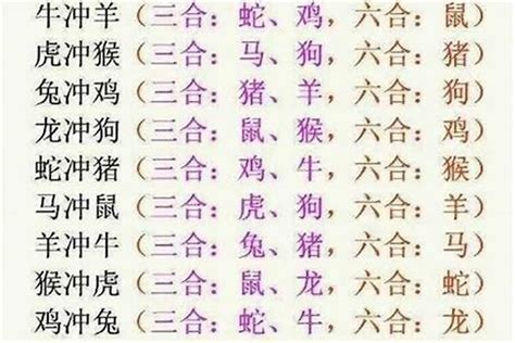 12生肖合|十二生肖三合、六合、相冲详解